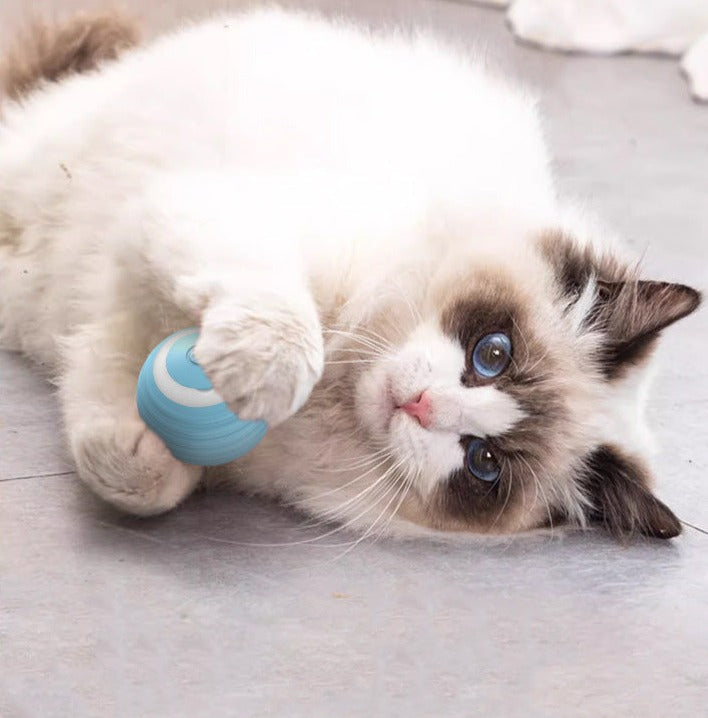 SmartCatBall - La Pallina Intelligente per il tuo gatto