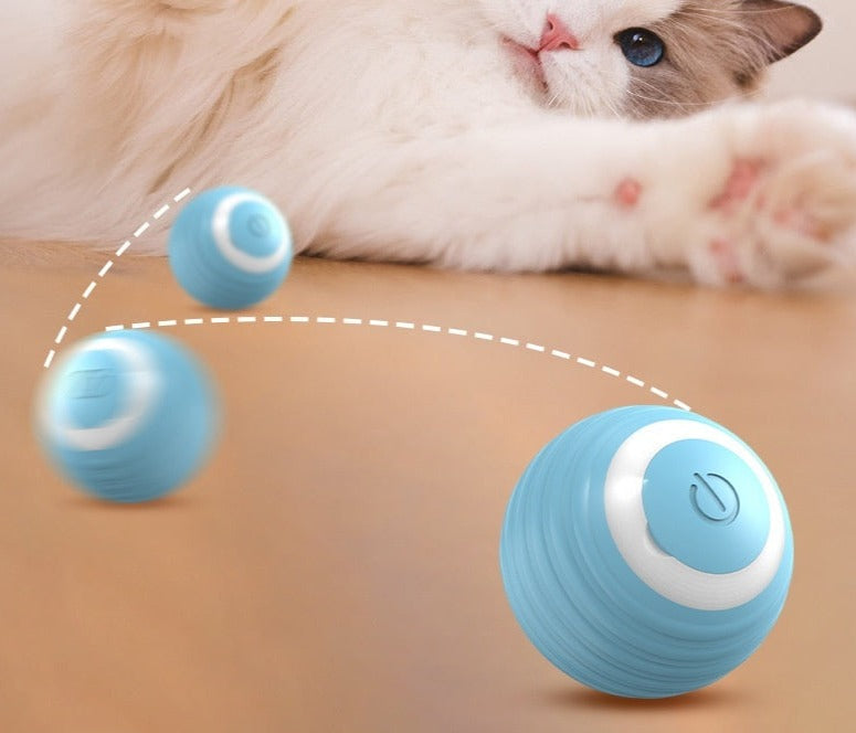 SmartCatBall - La Pallina Intelligente per il tuo gatto