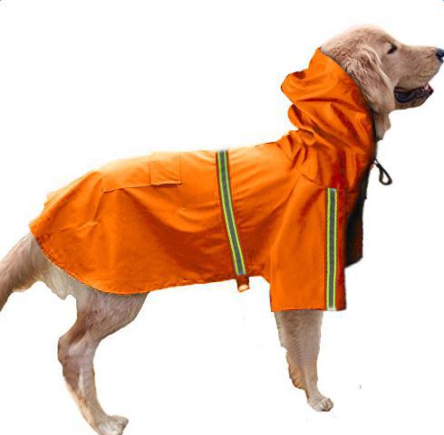 RainProtectorDog - Lo Scudo Impermeabile per il Tuo cane