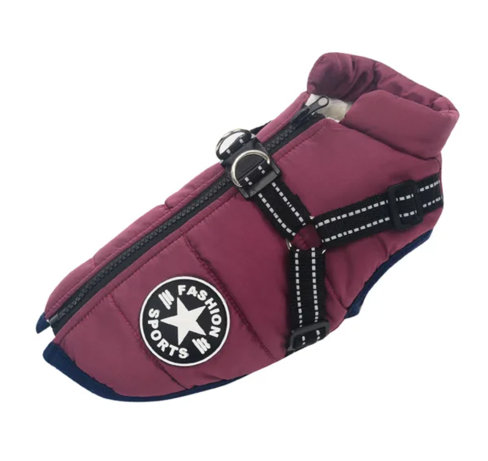 Doggy Defender - Le gilet de protection pour votre chien 