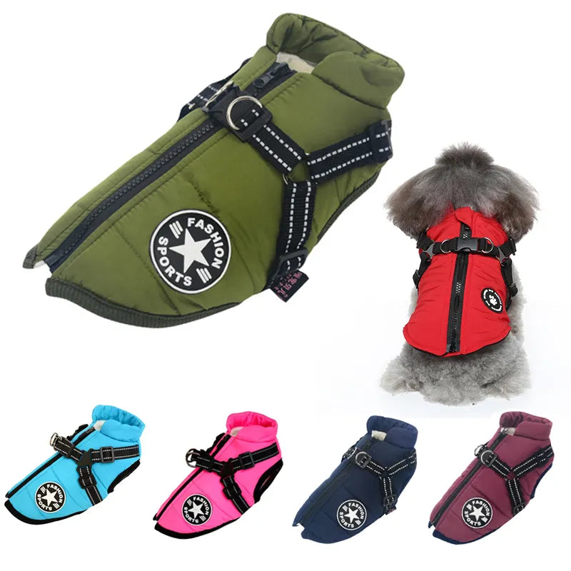 Doggy Defender - Le gilet de protection pour votre chien 