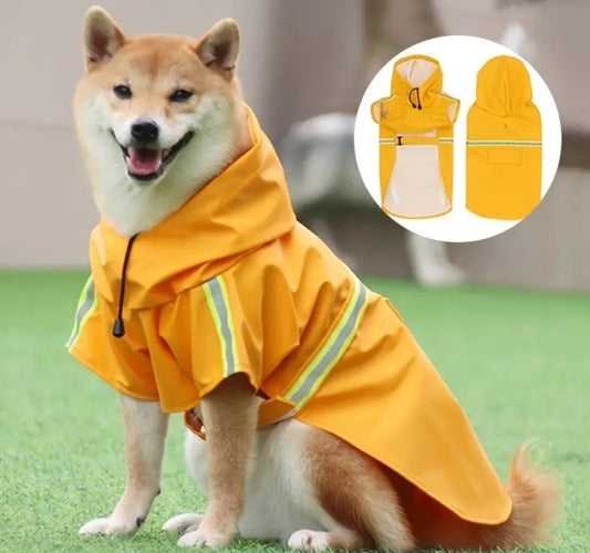 RainProtectorDog - Le bouclier imperméable pour votre chien