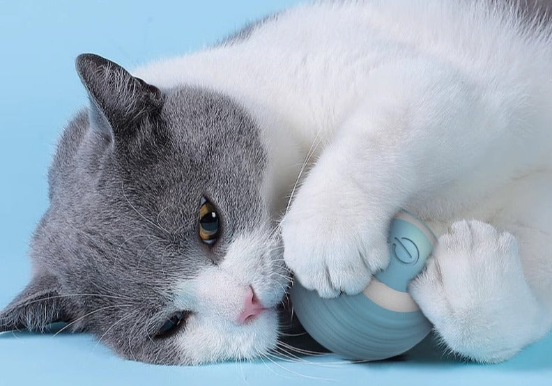 SmartCatBall - La Smart Ball pour votre chat